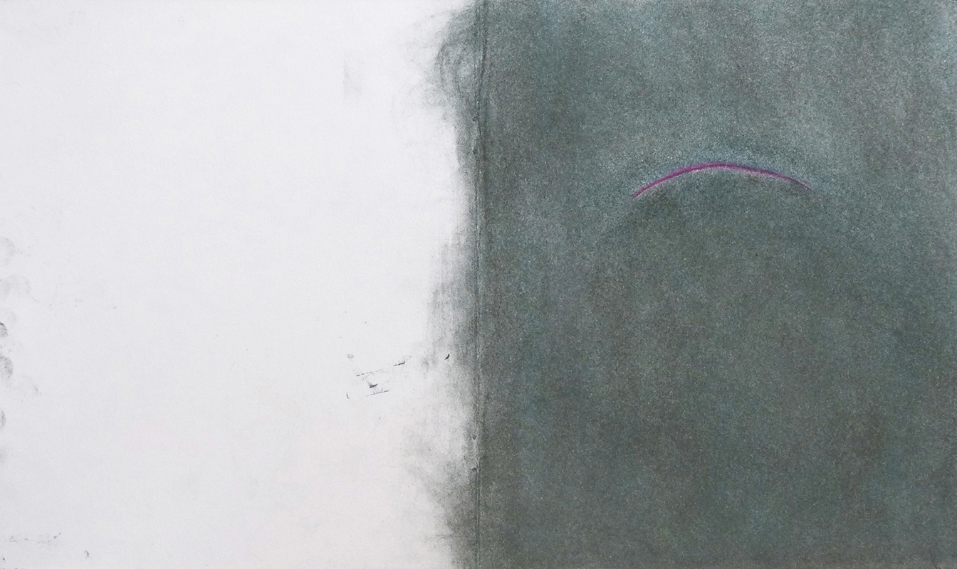 Marjolaine Pigeon, Chant égorgé d’alouette XVII, pastel sur papier, 40 x 23 cm, 2016