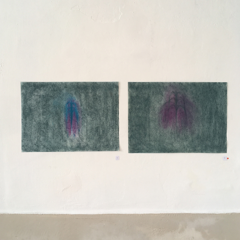 Marjolaine Pigeon, Jaillissments, pastels sur papier, 35 x 50 cm, 2018